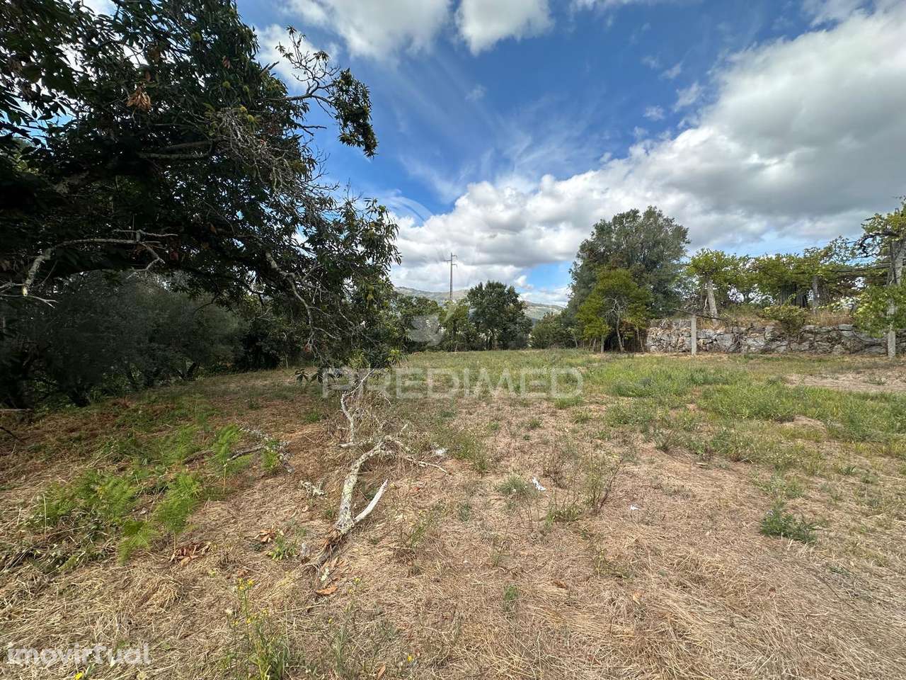 Quinta Rural em Ponte de Lima – Moradia T6 com 15.000 m² de Terreno - Grande imagem: 5/8