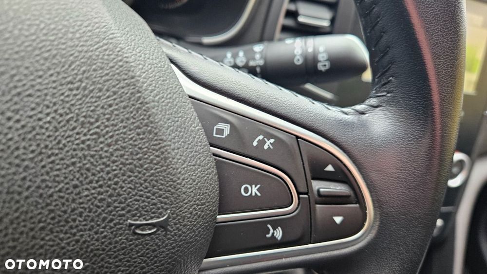 Renault Megane - 22