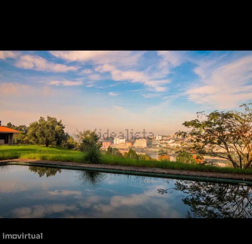 Quinta com Vista Privilegiada sobre o Rio Douro | Oliveira do Douro - Grande imagem: 4/13