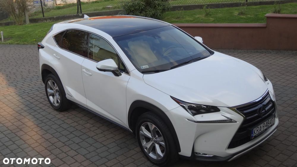 Lexus NX 300h Prestige AWD - 8