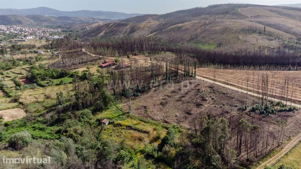 Terreno Rústico / Covilhã, Paul - Grande imagem: 5/9