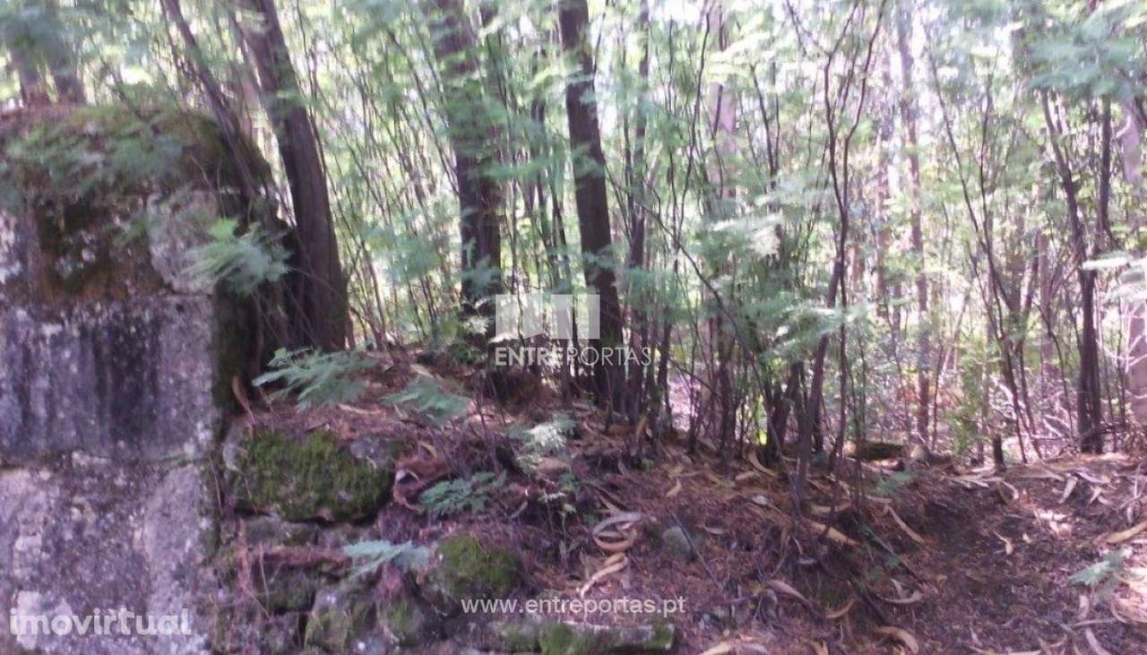 Venda de terreno, Canidelo, Vila do Conde - Grande imagem: 2/13