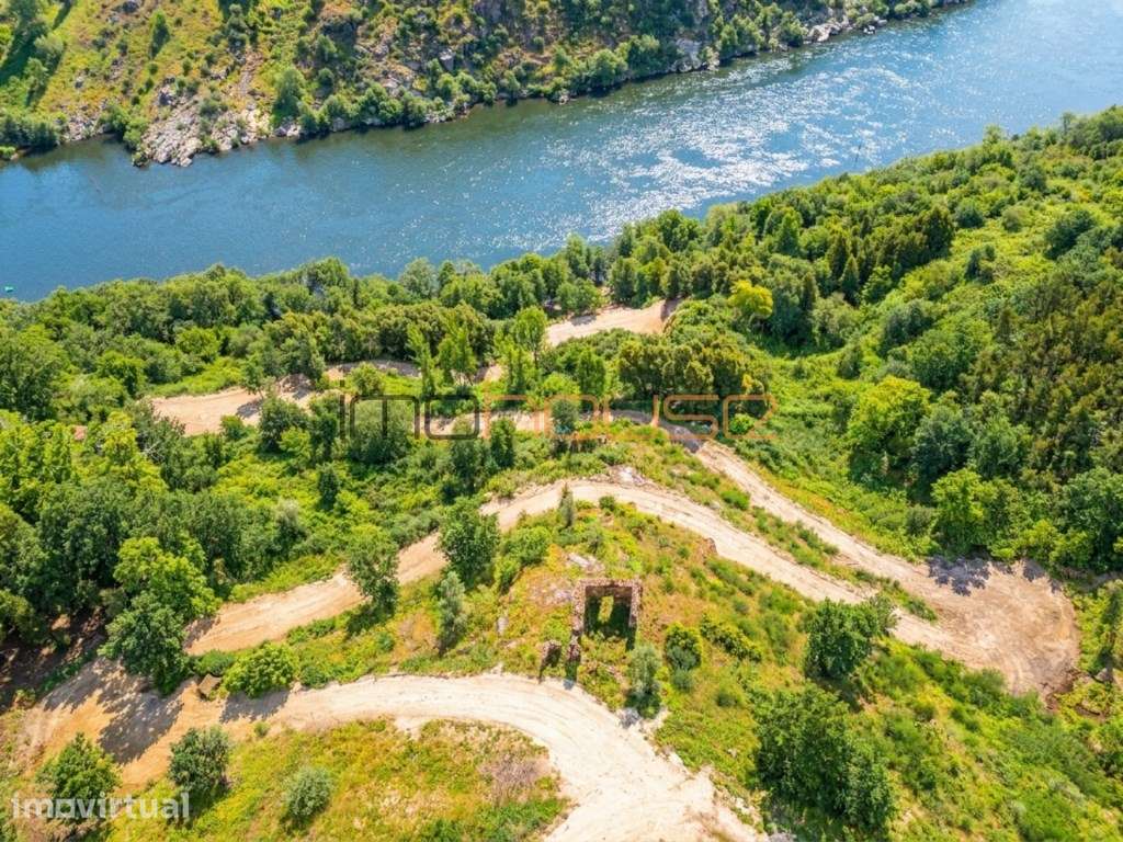Quinta com frente de Rio Douro - Grande imagem: 3/30