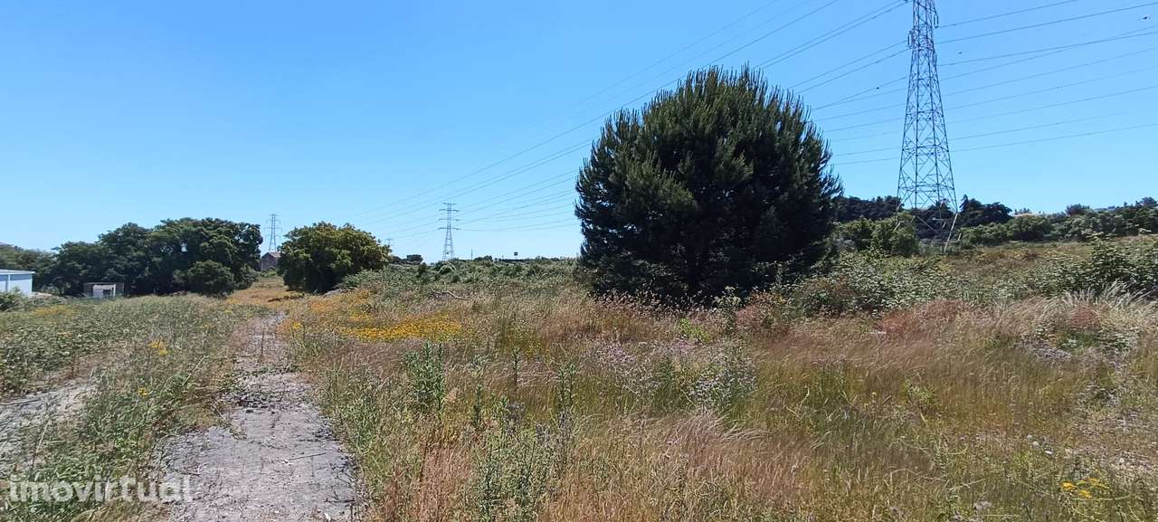 Terreno Rústico – Palmela - Grande imagem: 5/20