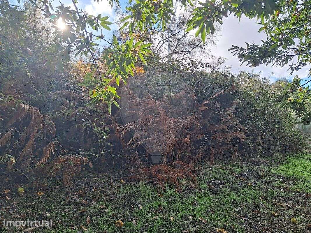 Terreno  para venda - Grande imagem: 2/4