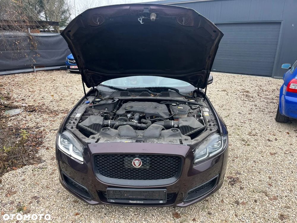 Jaguar XJ 3.0 D V6 XJ50 - 5