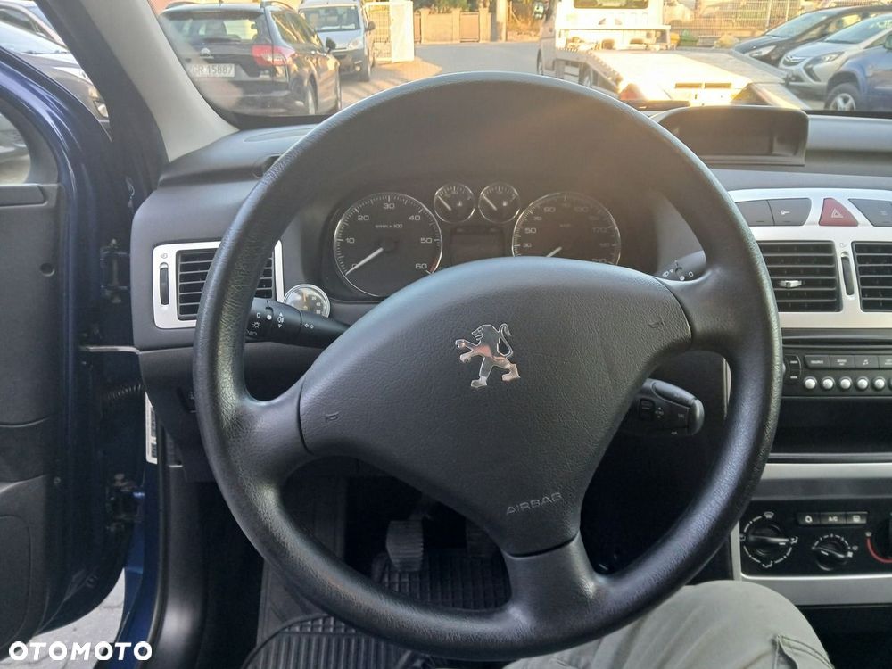 Peugeot 307 - 18
