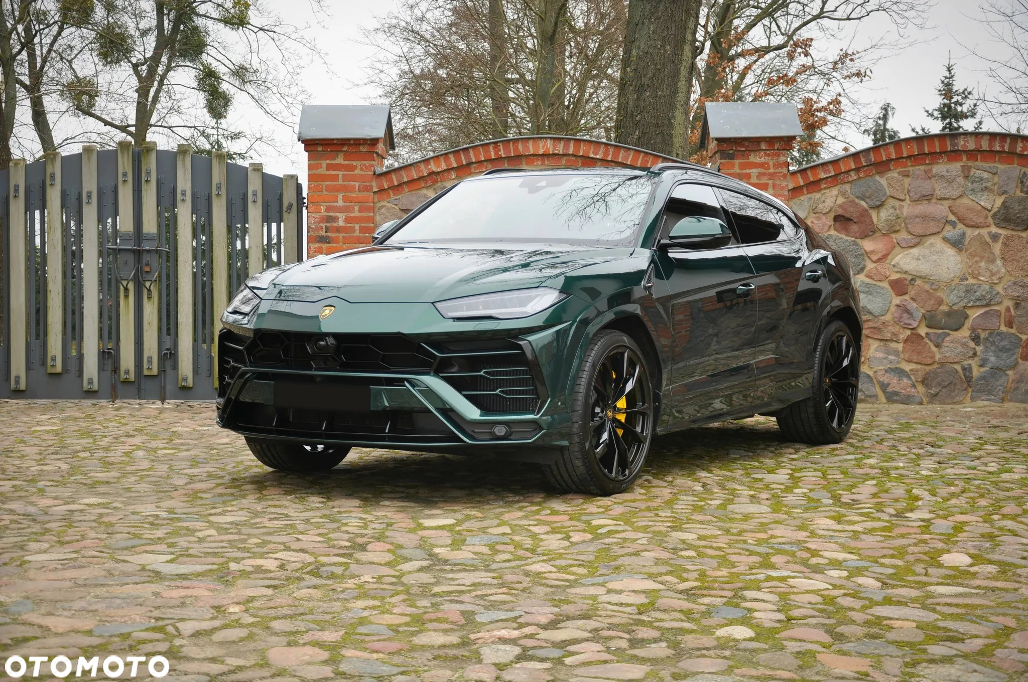 Lamborghini Urus Standard