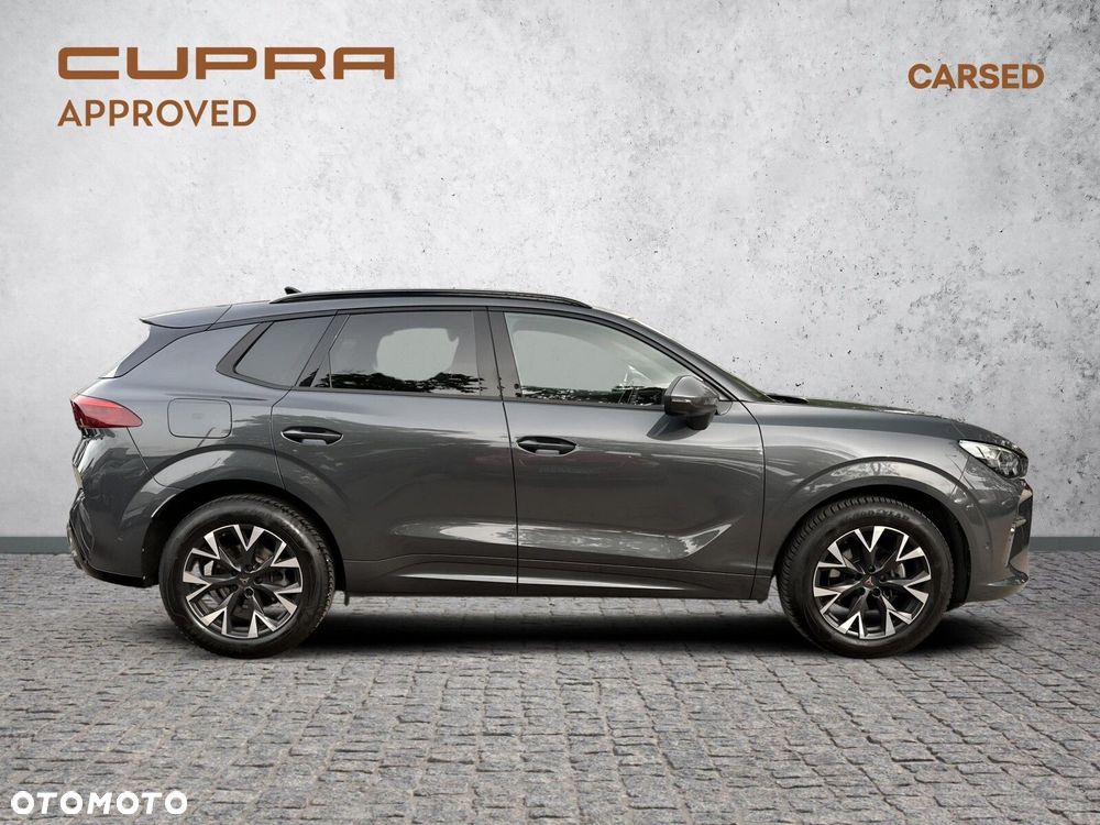 Cupra Terramar 1.5 eTSI mHEV DSG - 9