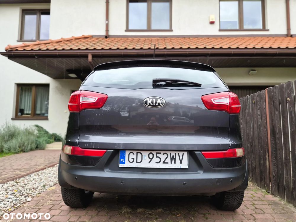 Kia Sportage - 35