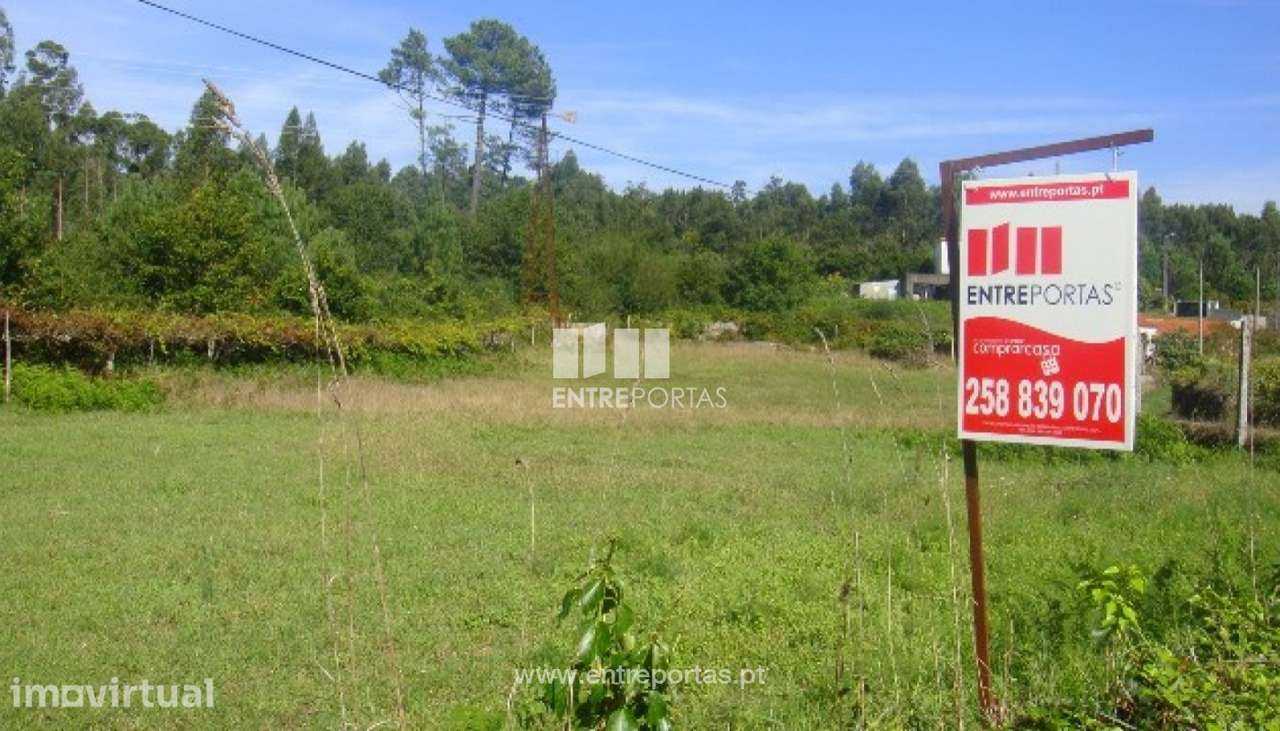Terreno Agrícola - Vila Fria - Grande imagem: 3/4