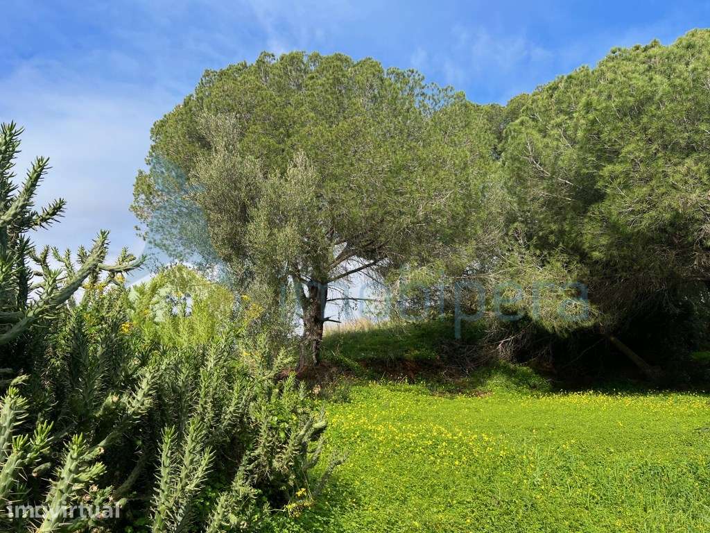 LOTE EXCLUSIVO PARA MORADIA DE SONHO COM PISCINA NA QUINTA DOS BARR... - Grande imagem: 4/11
