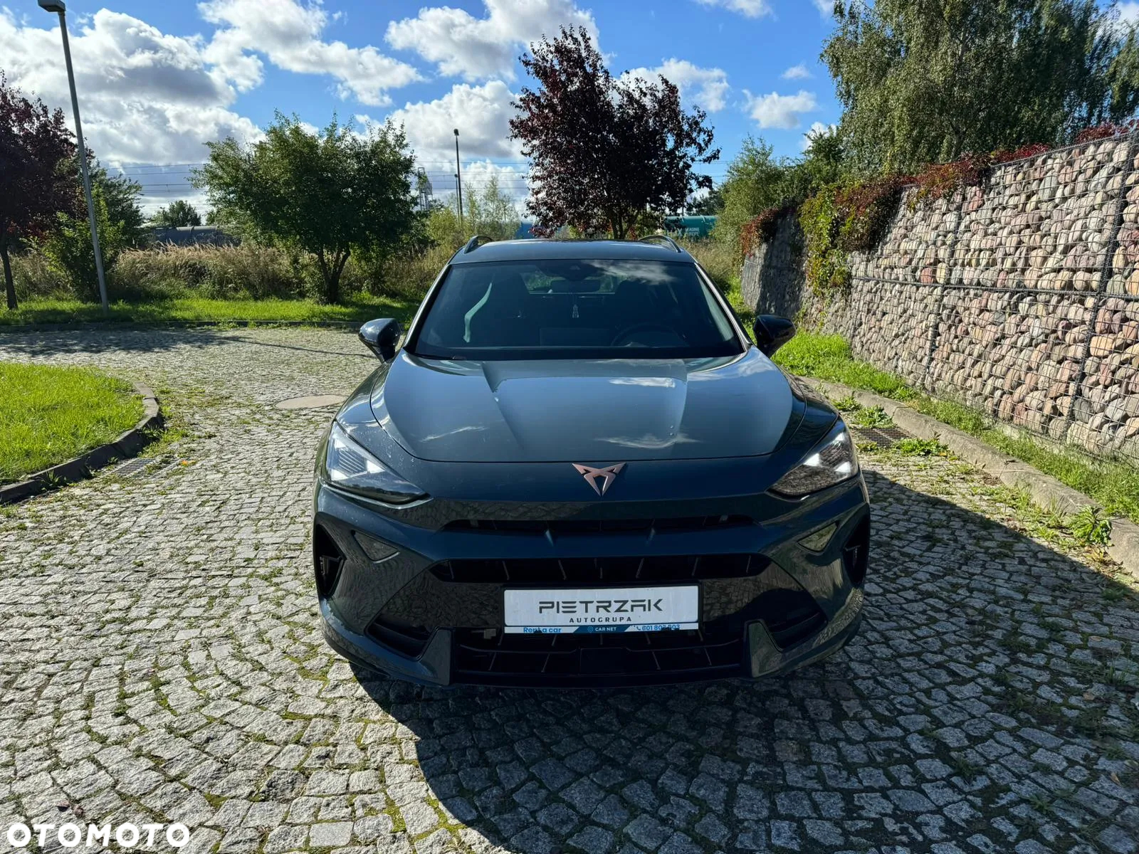 Cupra Formentor 1.5 TSI DSG - 8