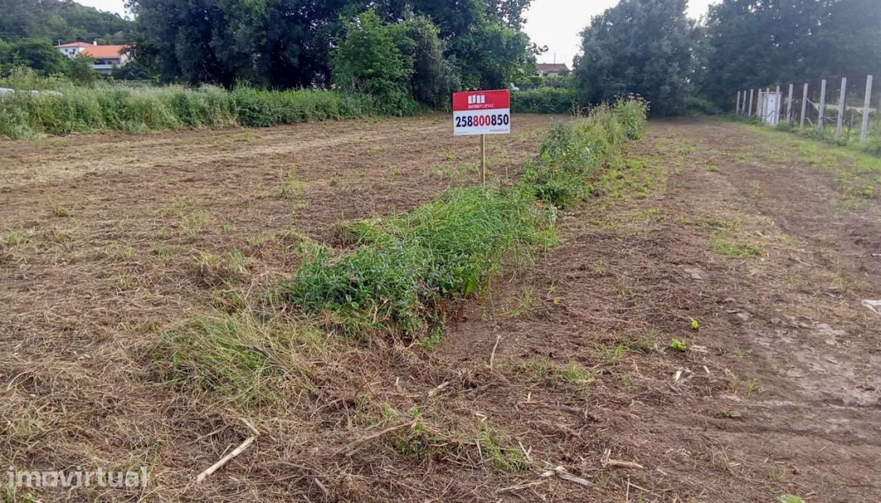 Venda de Terreno agrícola, Tregosa, Barcelos - Grande imagem: 5/18