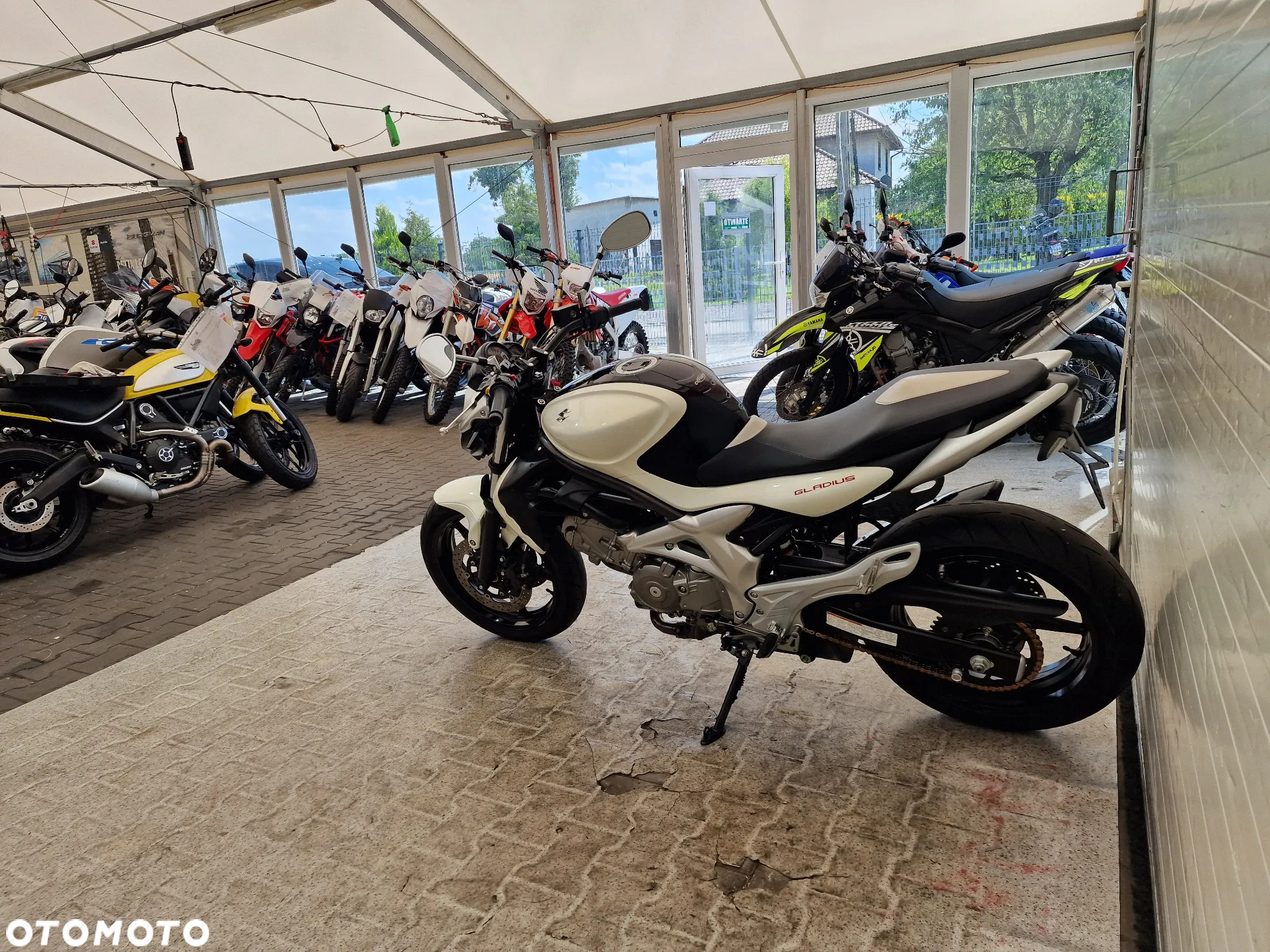 Suzuki Gladius - 22