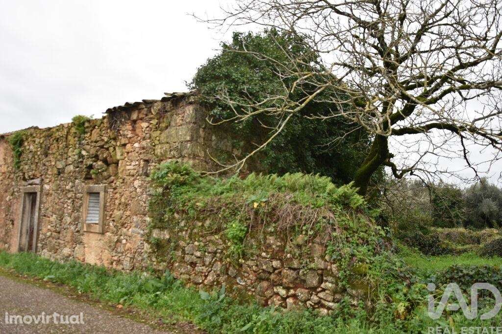 Casa / Villa T1 em Areias e Pias de 160,00 m2 - Grande imagem: 5/24