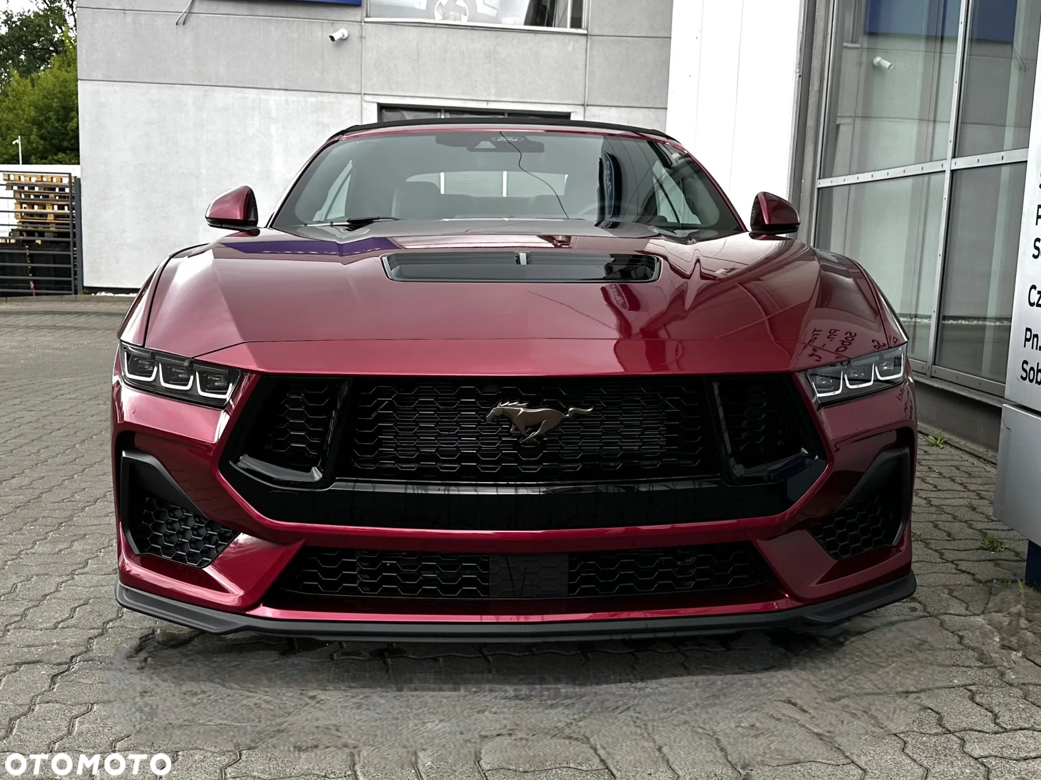 Ford Mustang 5.0 Ti-VCT V8 Dark Horse - 3