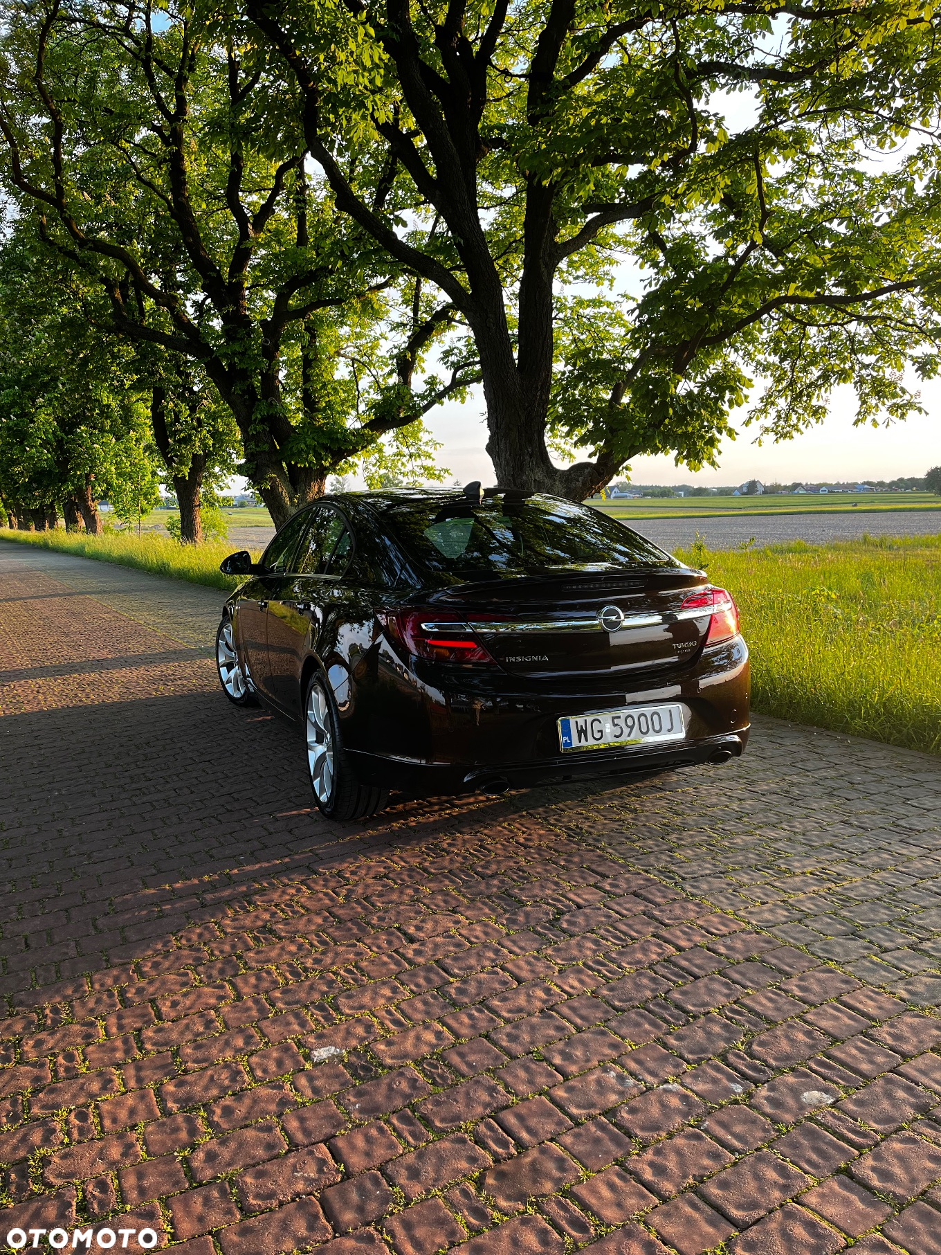 Opel Insignia 1.6 SIDI Turbo Sports Tourer - 3