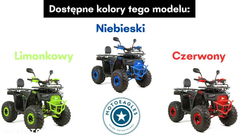 XTR Inny - 16