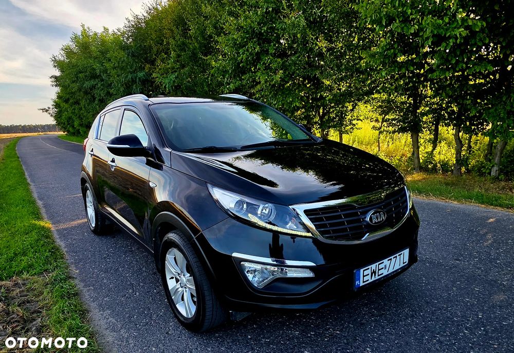 Kia Sportage - 3
