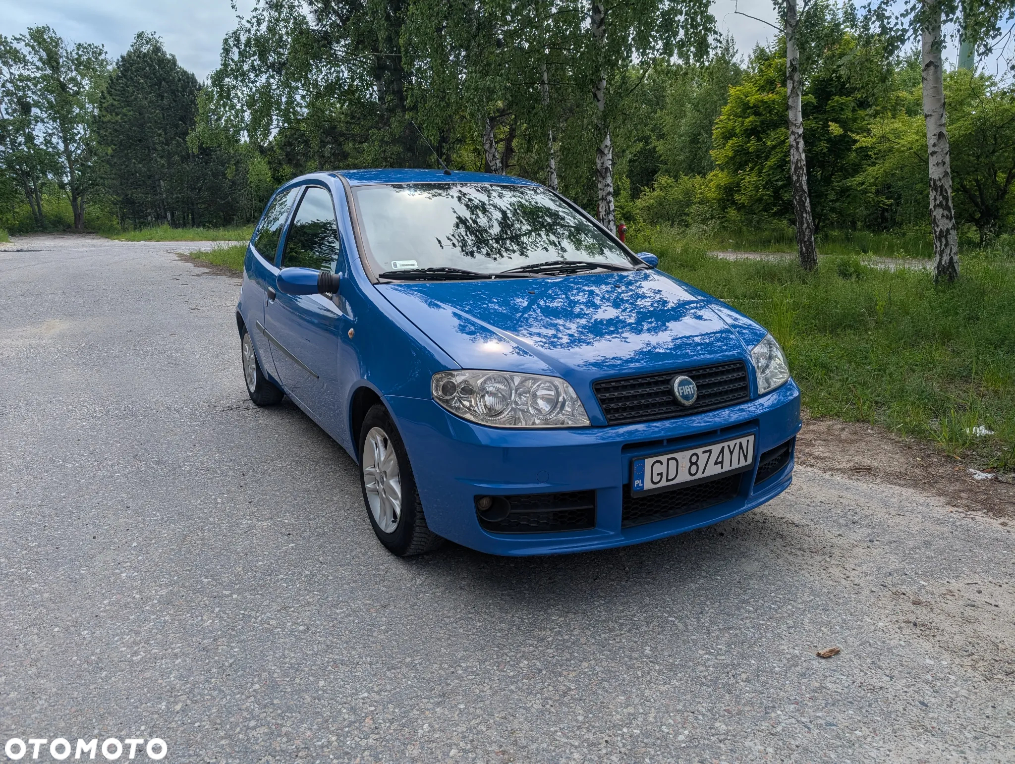 Fiat Punto 1.3 Multijet - 3