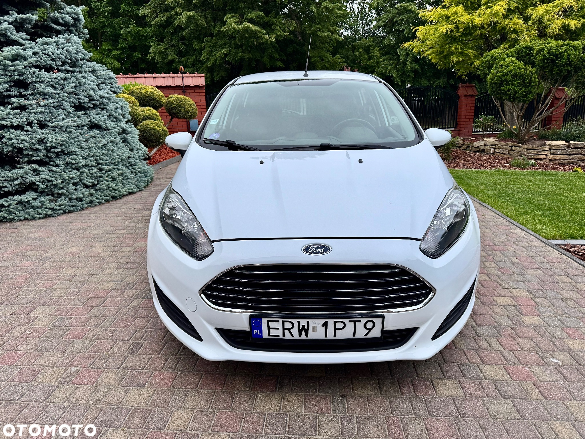 Ford Fiesta - 3