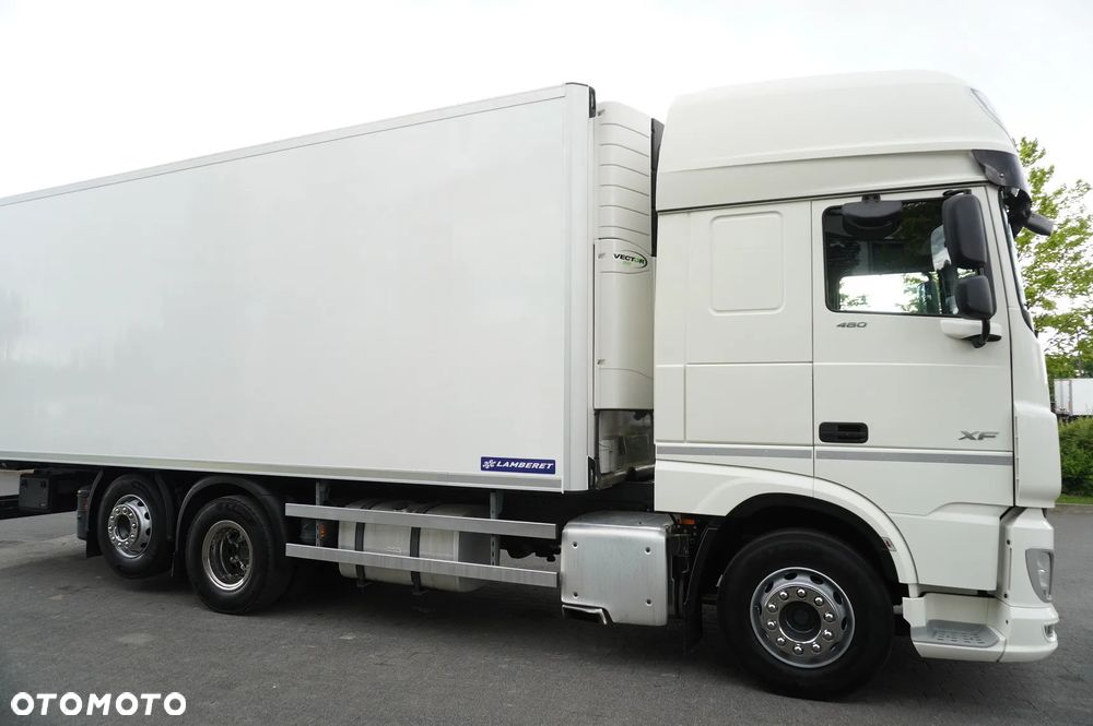 DAF XF 480 Euro 6 / 2021 / Chłodnia Lamberet / Carrier Vector 1550_221299 - 5