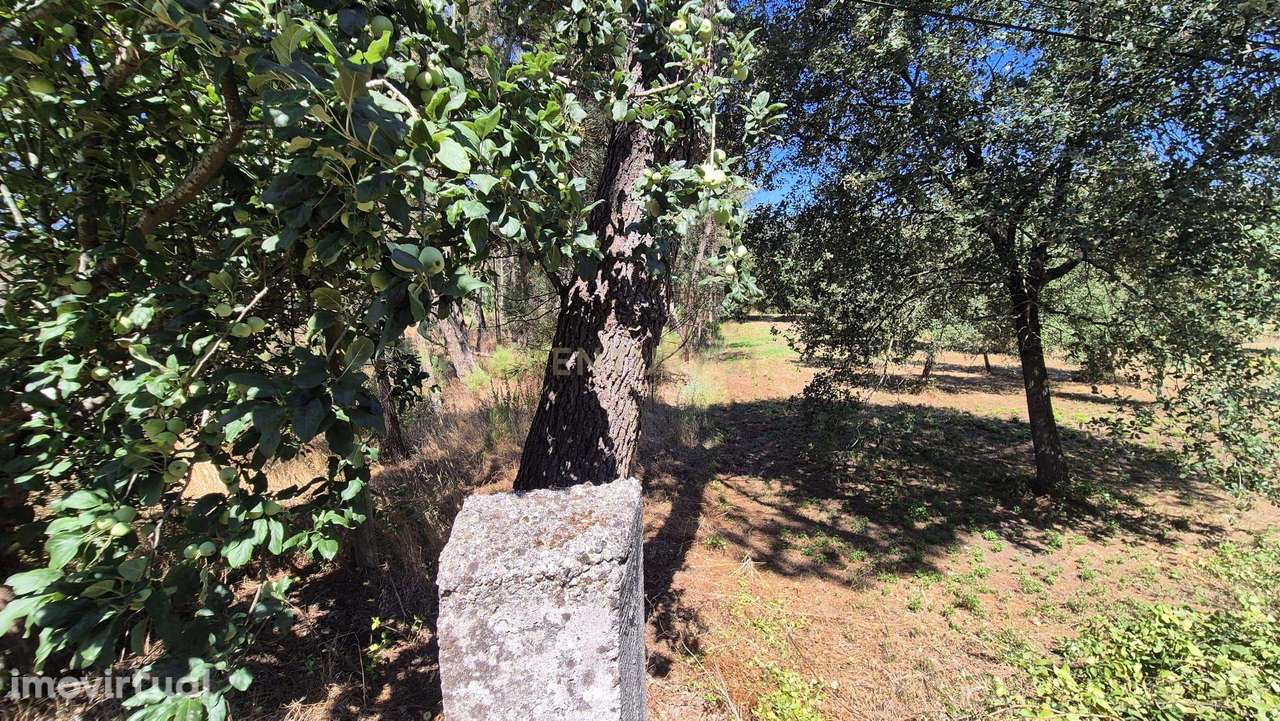 Terreno para Construção em Pombal, Leiria - Oportunidade Única! - Grande imagem: 4/29