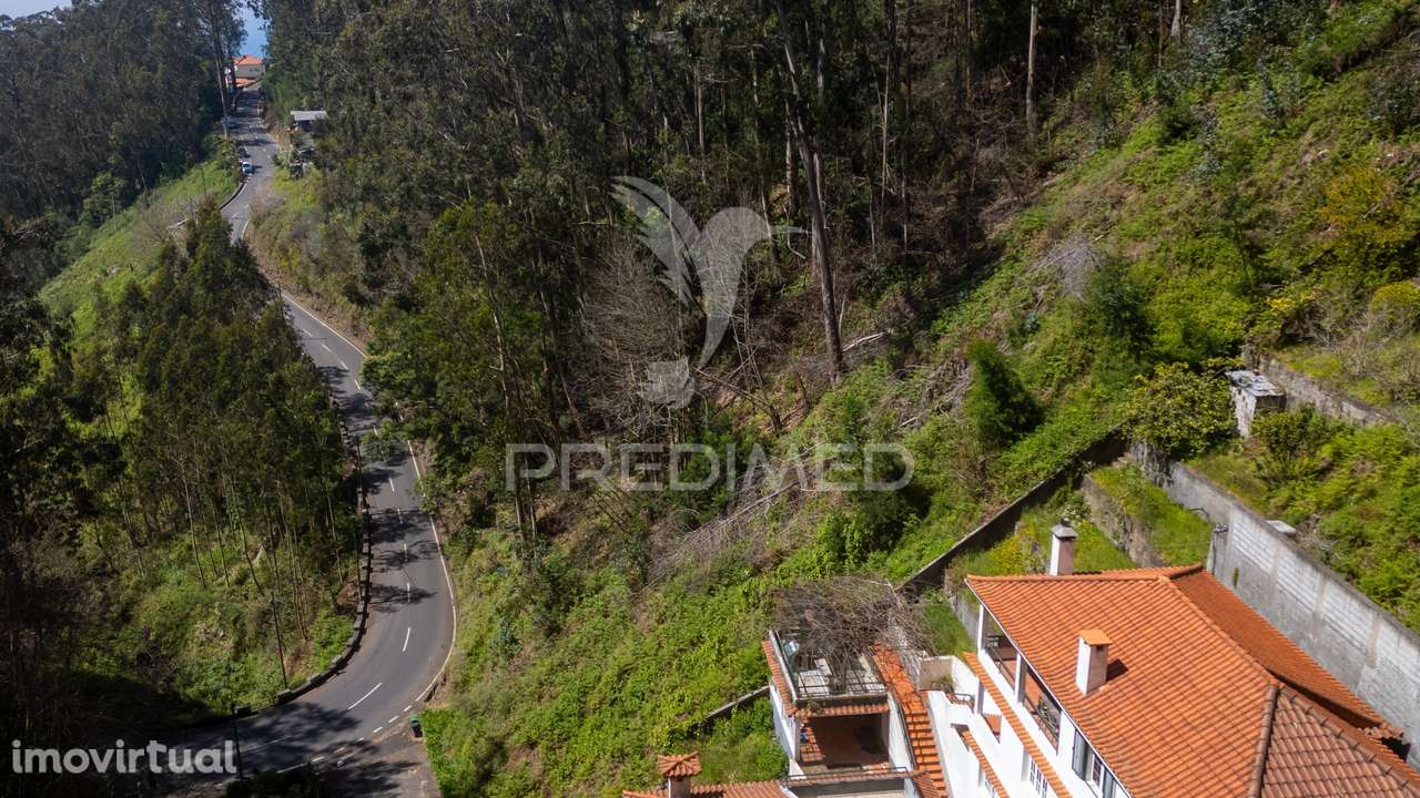 Terreno rústico numa zona verdejante com vista mar - Grande imagem: 3/13