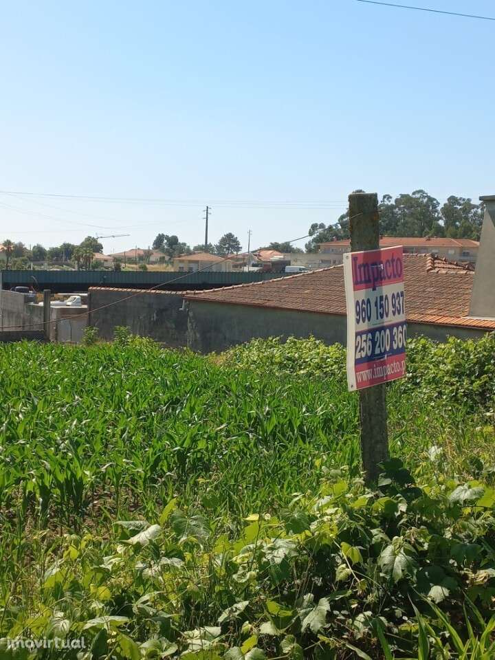 Terreno Rústico para venda em Escariz, Arouca - Grande imagem: 4/5