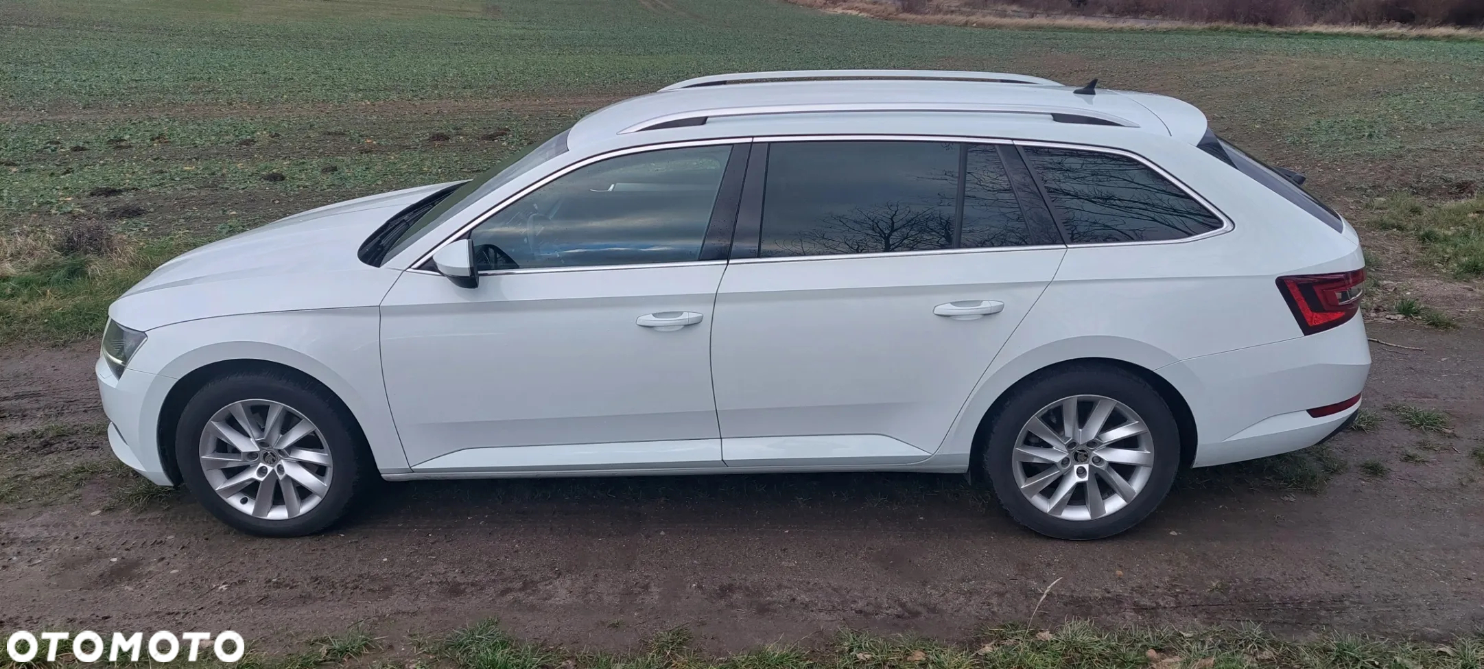 Skoda Superb Combi 2.0 TDI DSG Ambition - 10