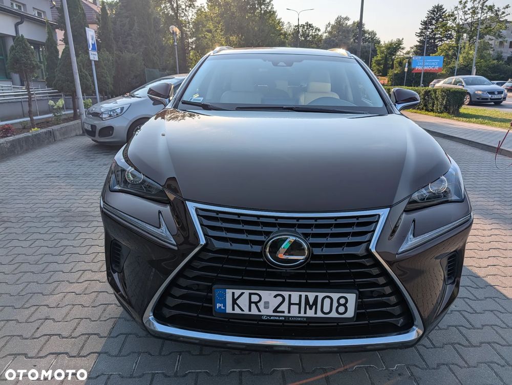 Lexus NX 300 Comfort AWD - 6