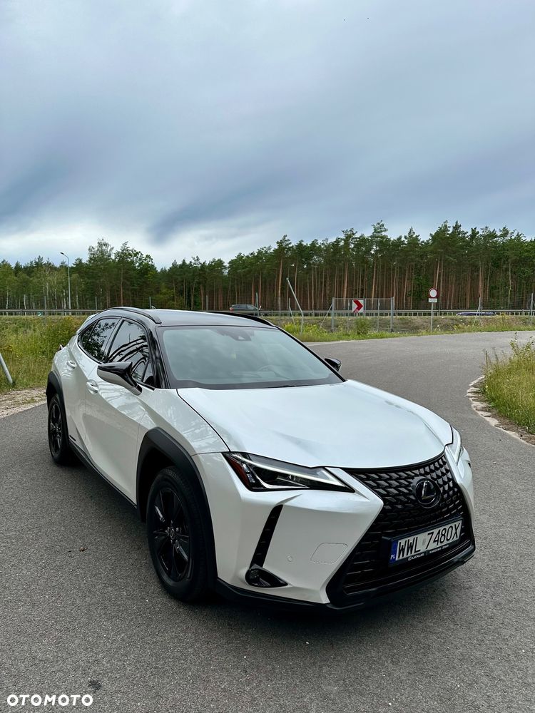 Lexus UX 250h Prestige 2WD - 20