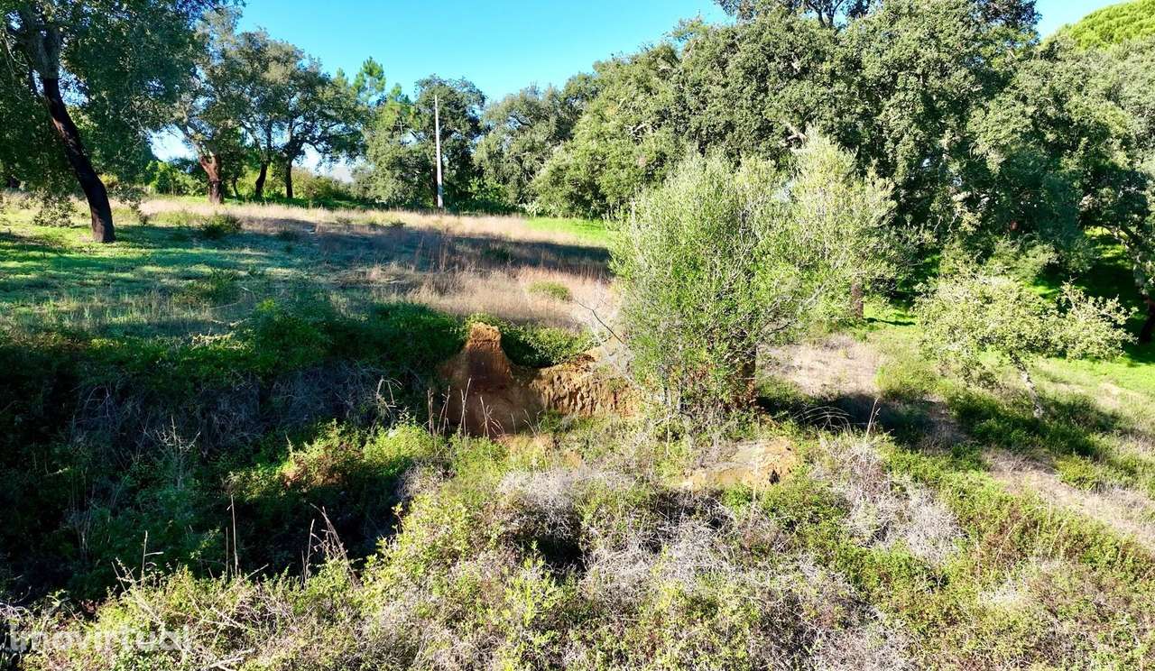Monte Alto do Zambujal — Exclusividade e potencial junto a Melides - Grande imagem: 5/21