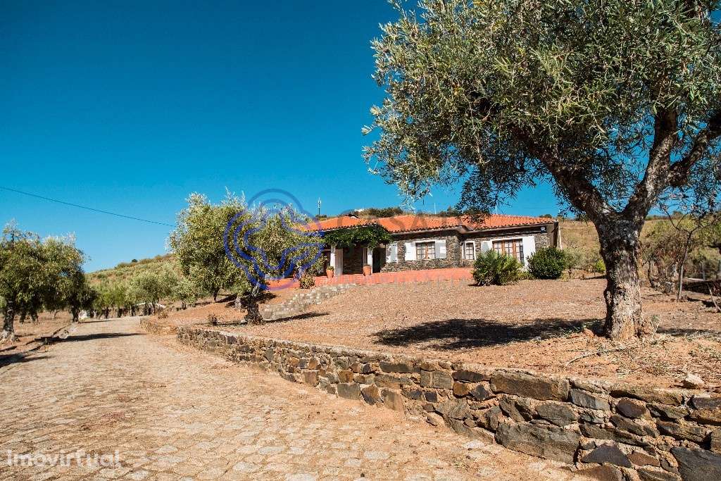 Excelente quinta - Grande imagem: 2/60