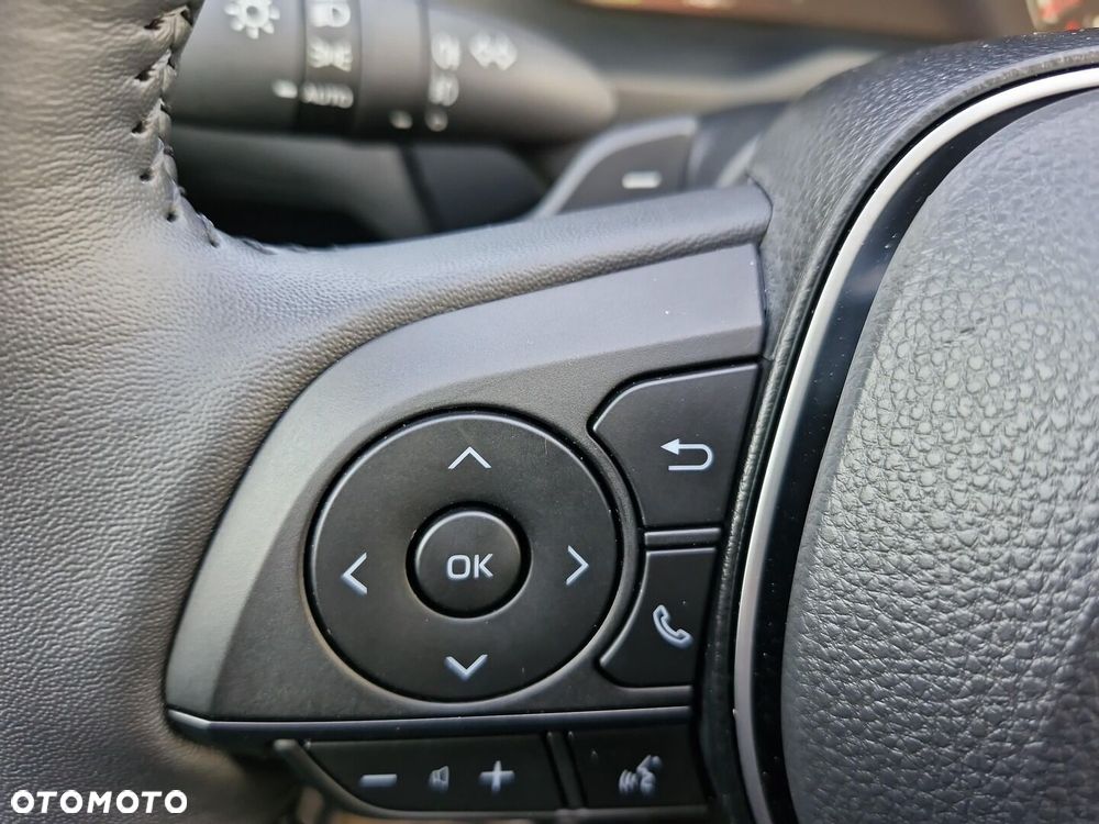 Toyota RAV4 2.5 Hybrid Executive 4x2 - 24