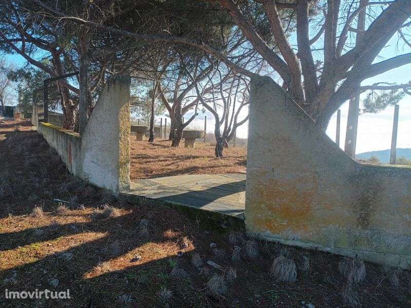 Quinta no Douro superior - Grande imagem: 2/12