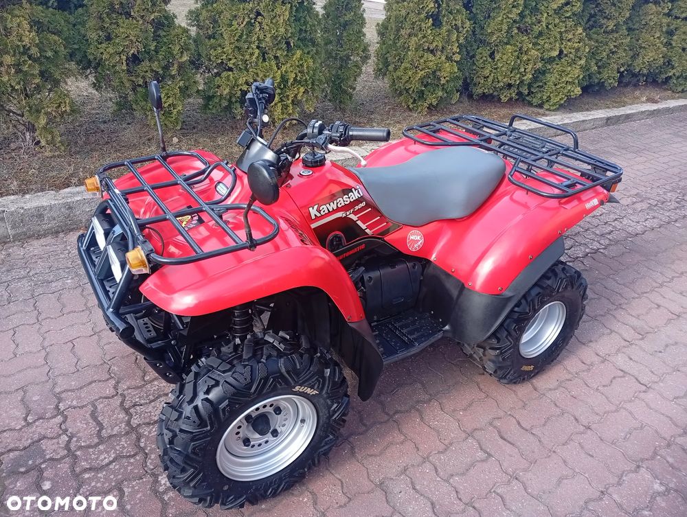 Kawasaki Brute Force - 19