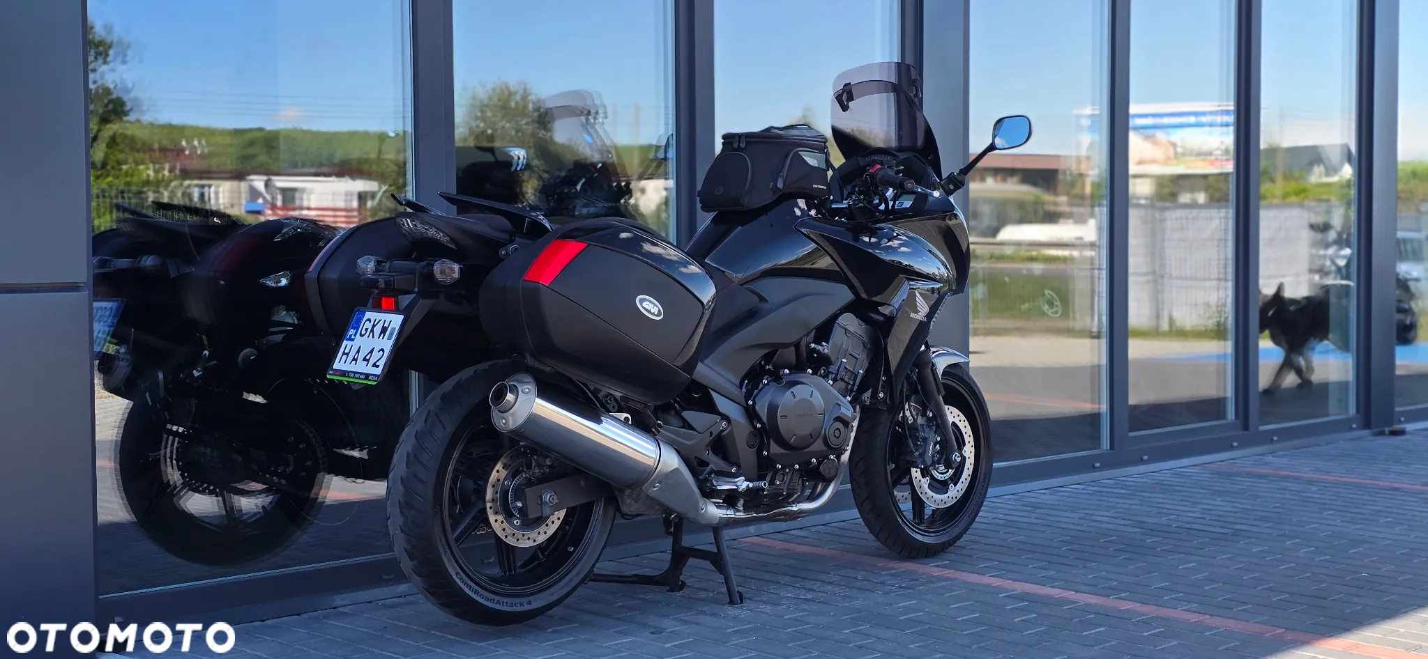 Honda CBF - 5
