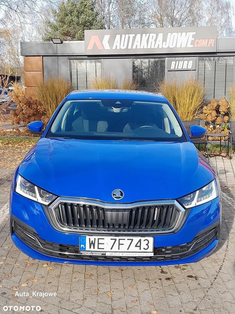 Skoda Octavia - 6