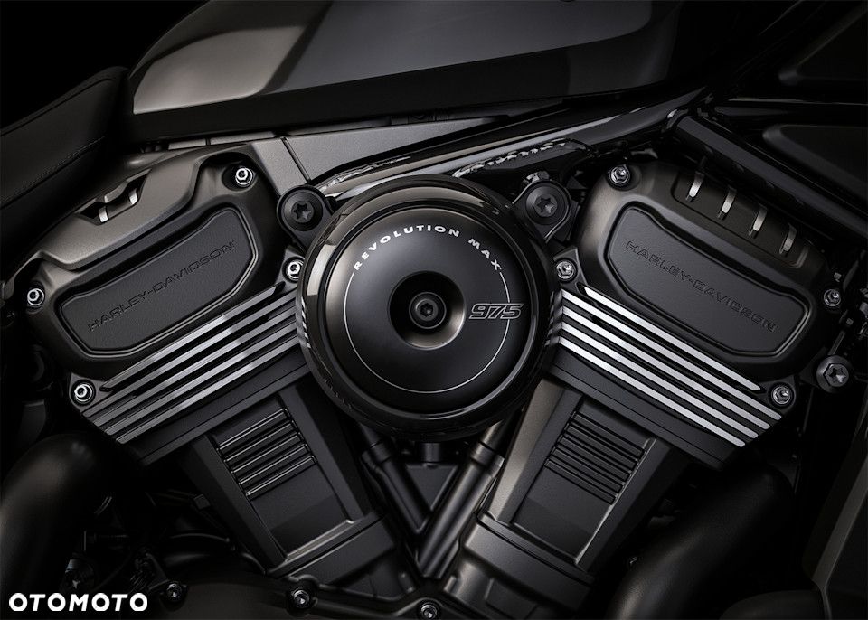 Harley-Davidson Sportster Nightster 975 - 9