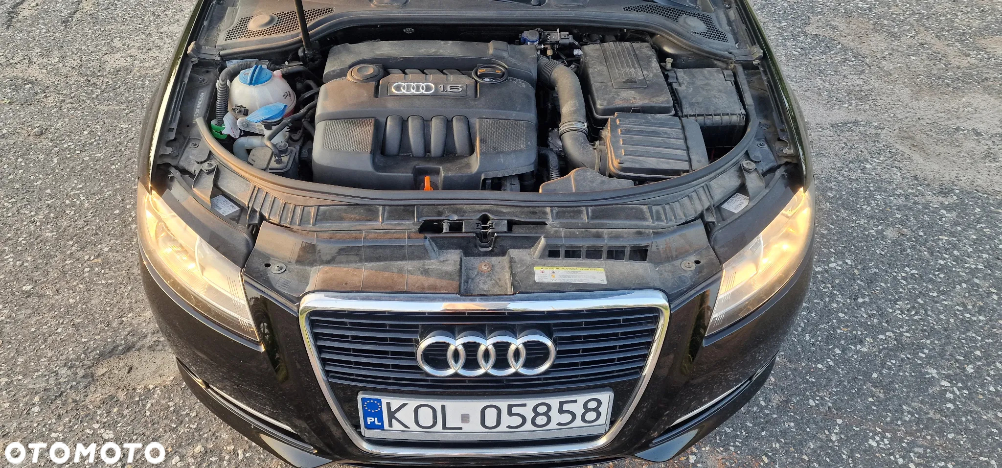 Audi A3 1.6 Limited Edition - 17