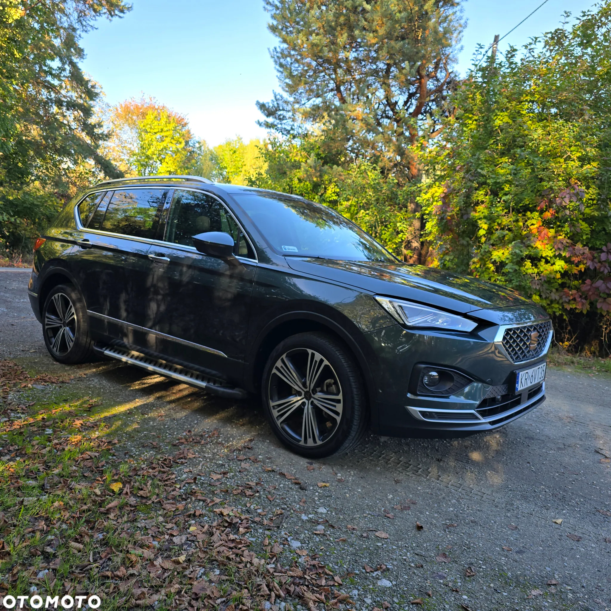 Seat Tarraco 2.0 TDI 4Drive DSG SCR Xcellence - 6