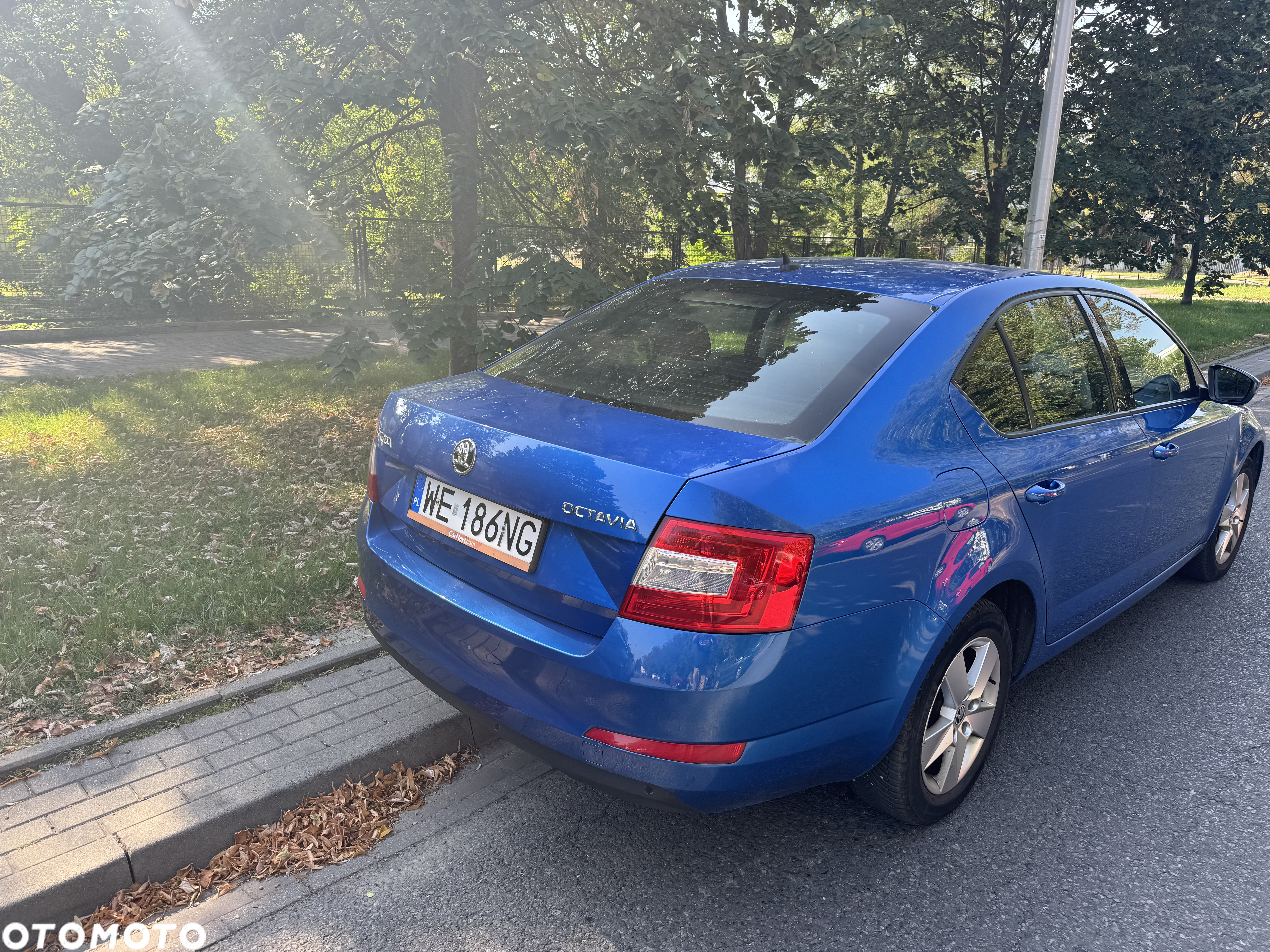 Skoda Octavia 1.4 TSI Ambition - 5