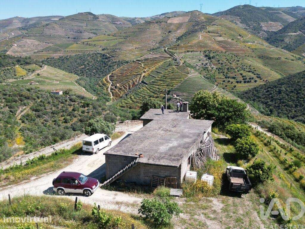 Quinta T2 em Ervedosa do Douro de 830 m2 - Grande imagem: 3/36