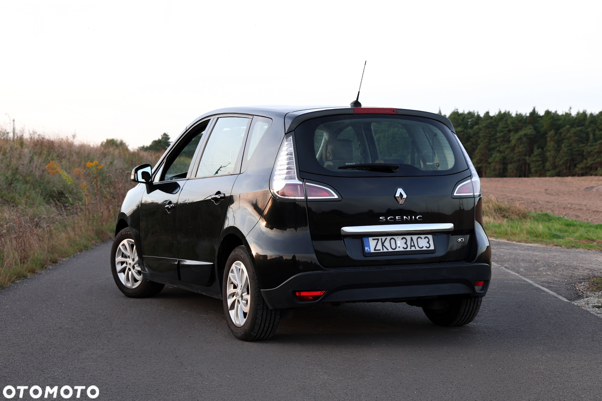 Renault Scenic - 2