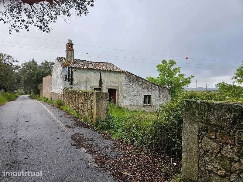 Quinta a 2Kms da cidade Castelo Branco 12,69 Hectares - Grande imagem: 2/8