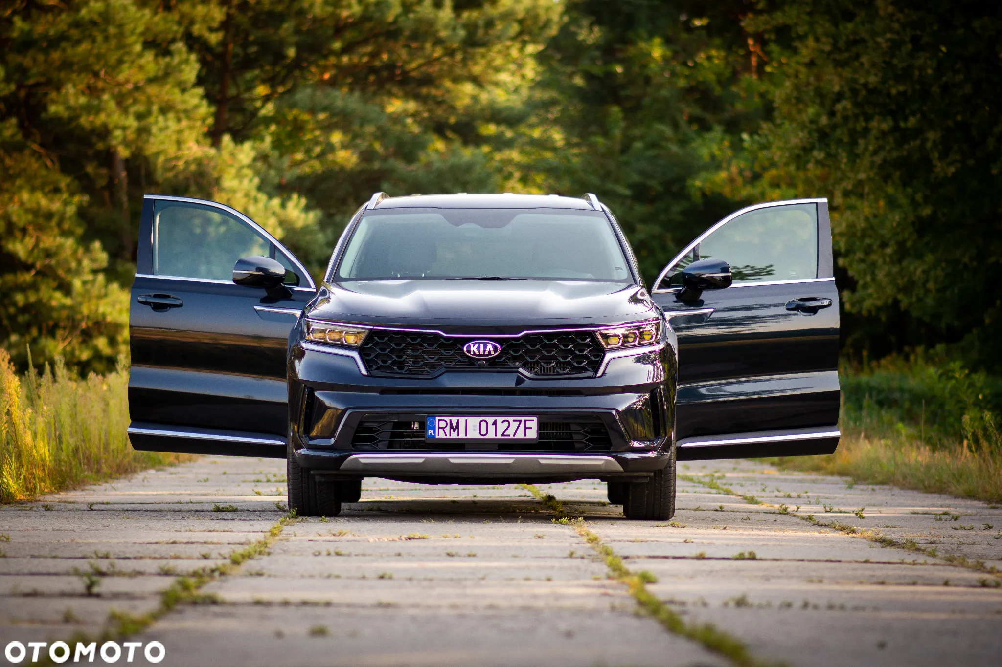 Kia Sorento - 12