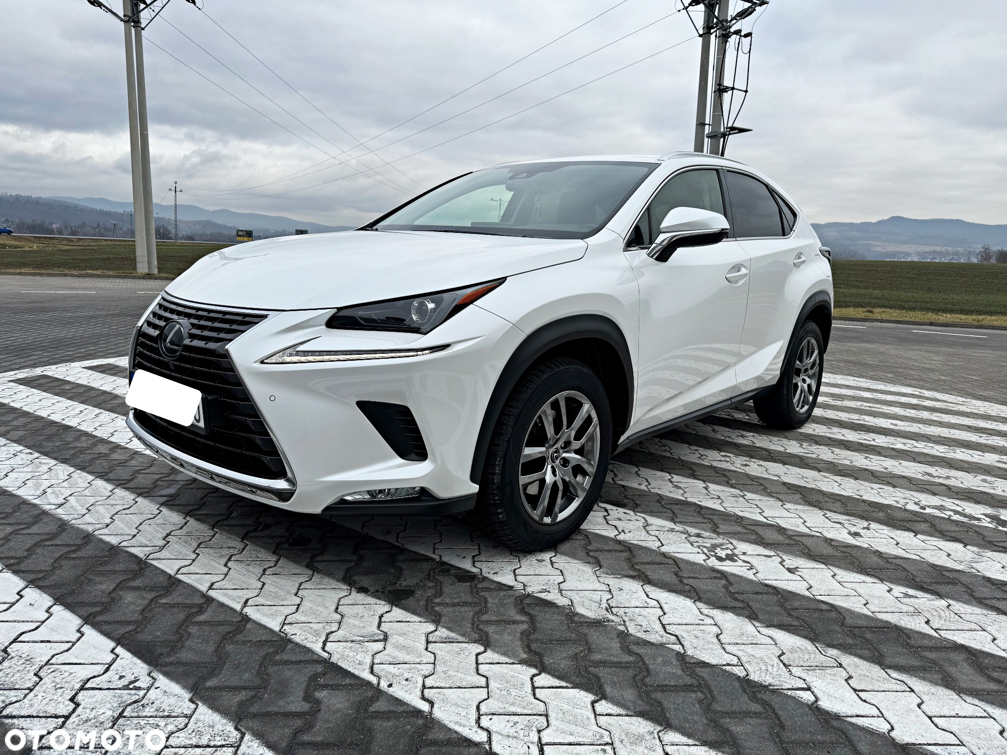 Lexus NX 300 Elegance Optimum AWD - 9