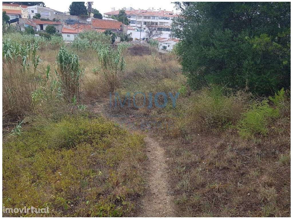 Terreno com PIP Aprovado para Lar de Idosos - Grande imagem: 3/12